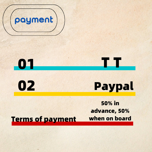 Accepted payment methods – TT and PayPal